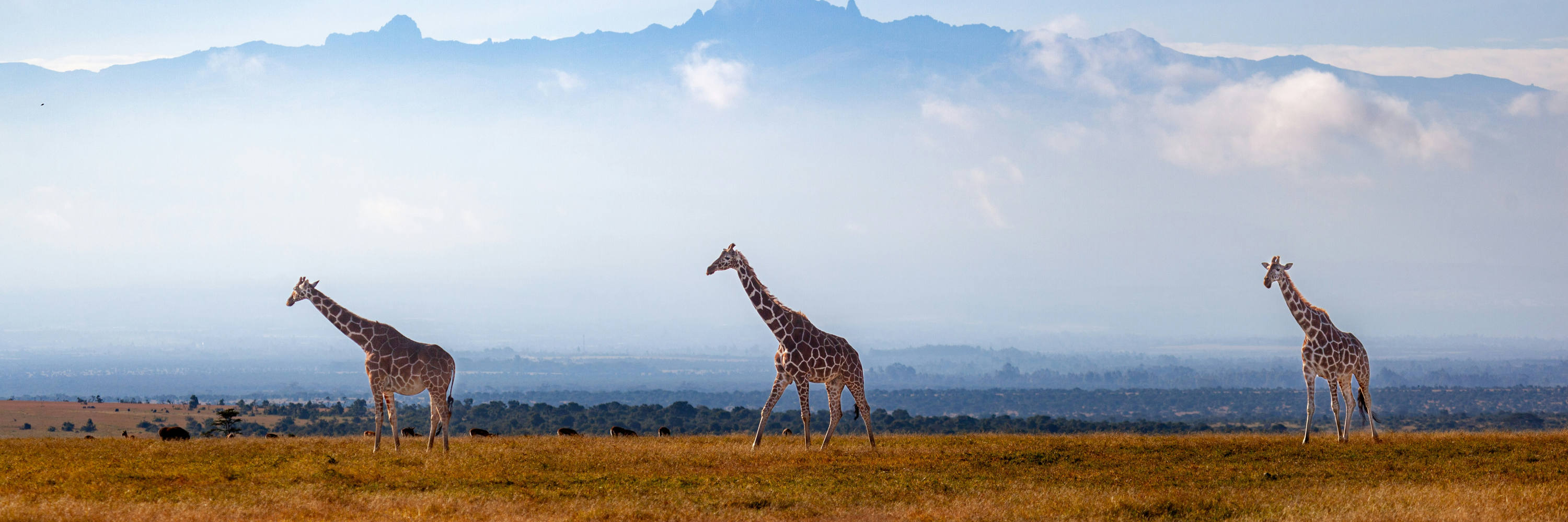 KENYA