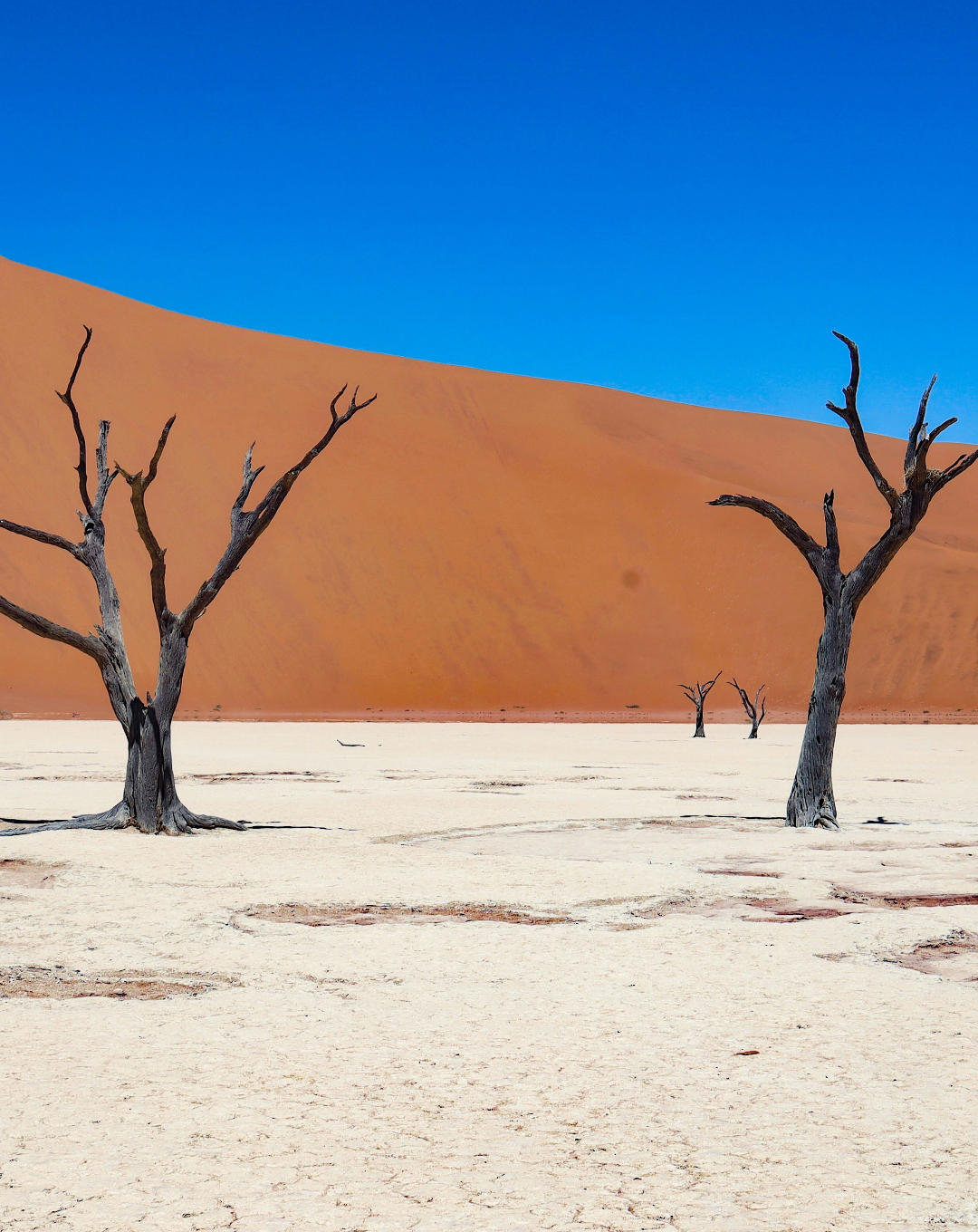 NAMIBIA